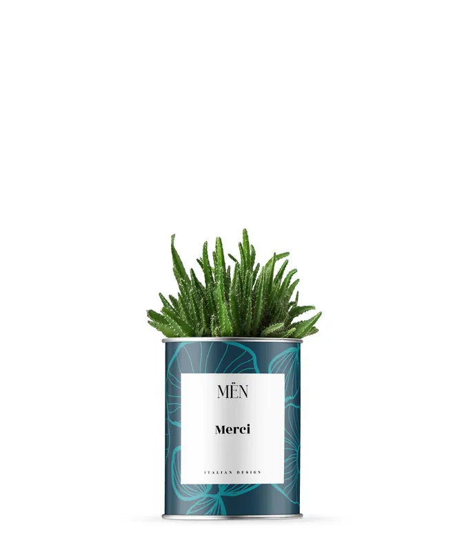 Piantina Merci