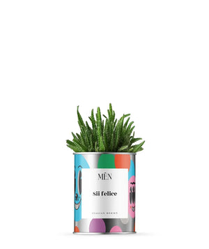 Piantina Sii Felice