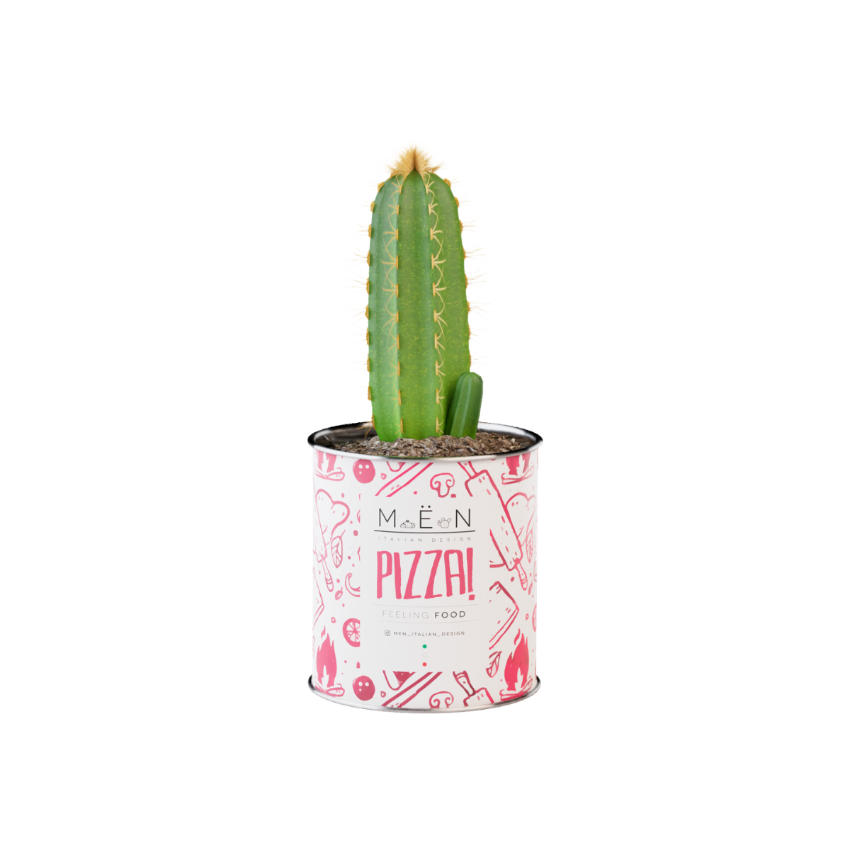 Piantina Pizza
